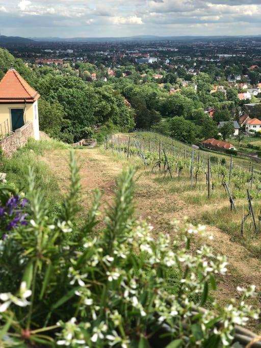 Wohlfuehl-Apartment Am Paradiesberg ราเดอบอยล์ ภายนอก รูปภาพ